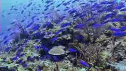 Belize Tourism Video Trailer