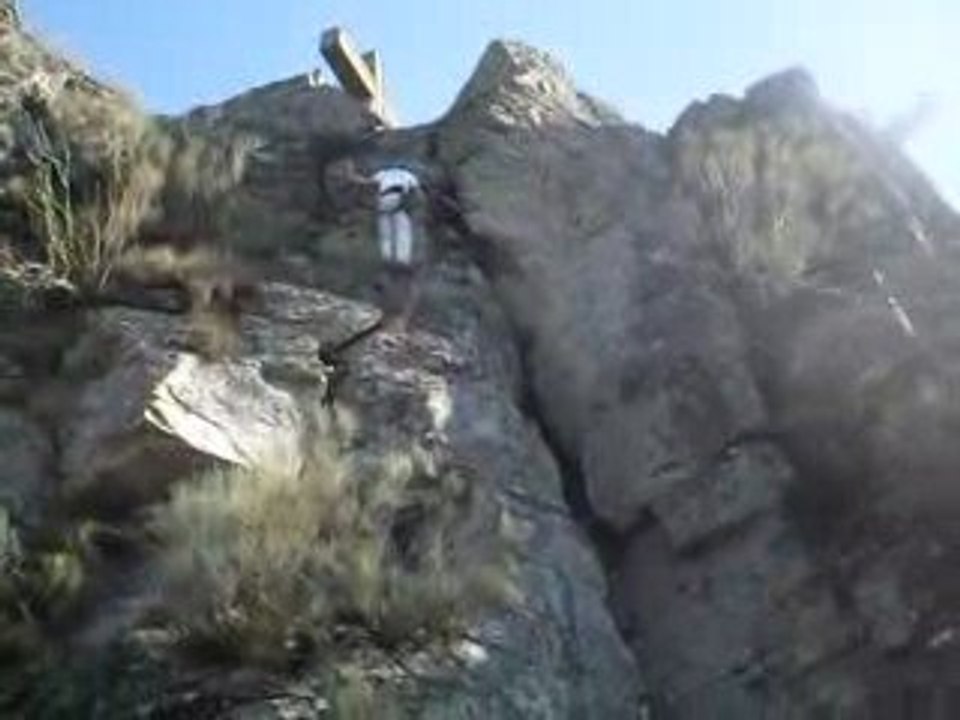 V7