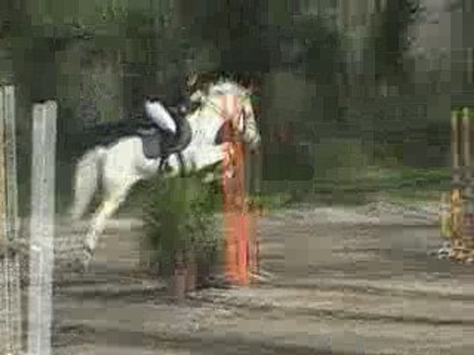 Montélimar le 15.03.09. prépa 95cm