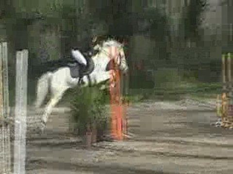 Montélimar le 15.03.09. prépa 95cm