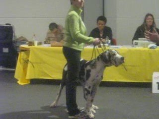 Expo Offenburg 2009 Domino