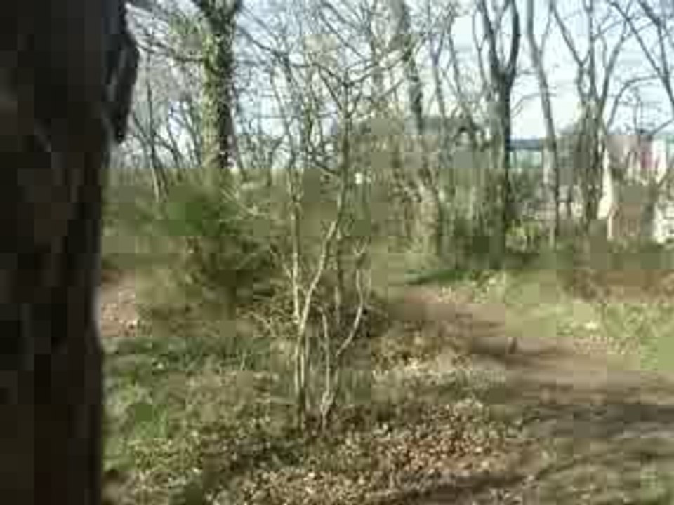 PIerrow dirt (saut de 2 m)