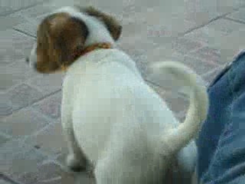 Deedjy baby