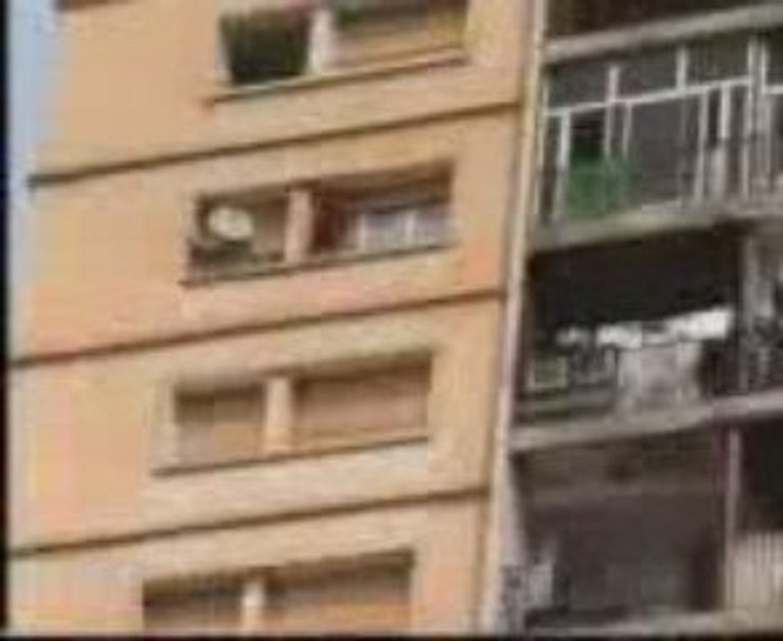 Spiderman algerien
