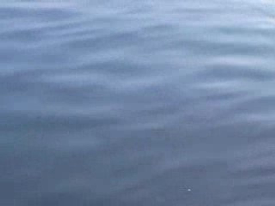 Eau