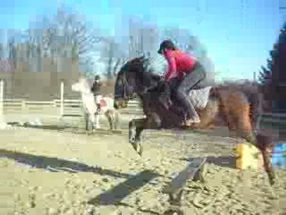 DSCN2332