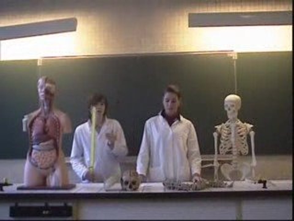 Réalisation TPE achevé