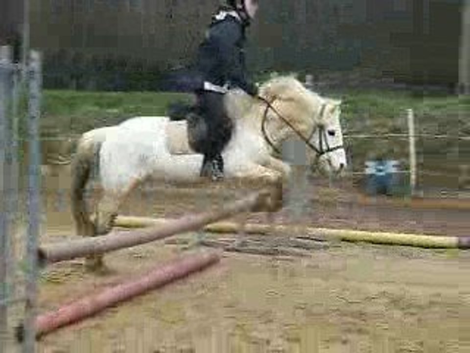 Brandy & moi en saut