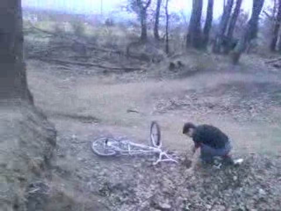 crash velo