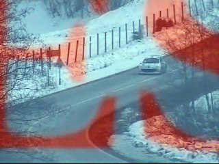 CNR TESS Rally 2009 Tempesta / Pulpea