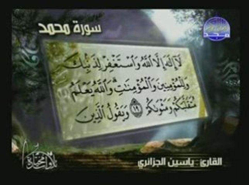 Yassine al djazairi sourate mohamed