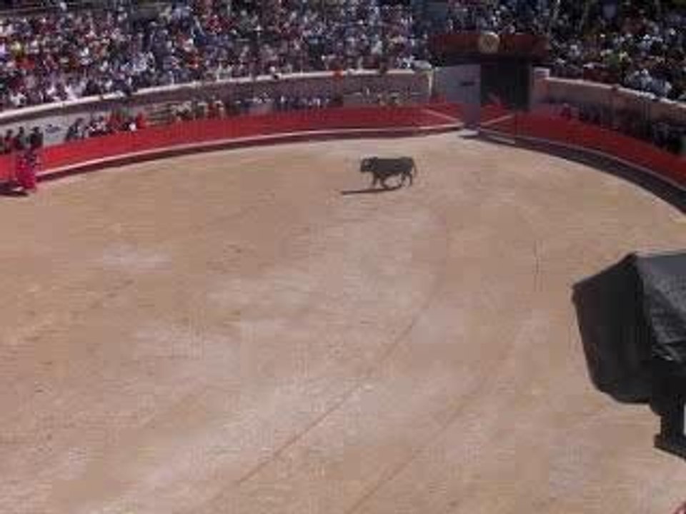 entrée du toro