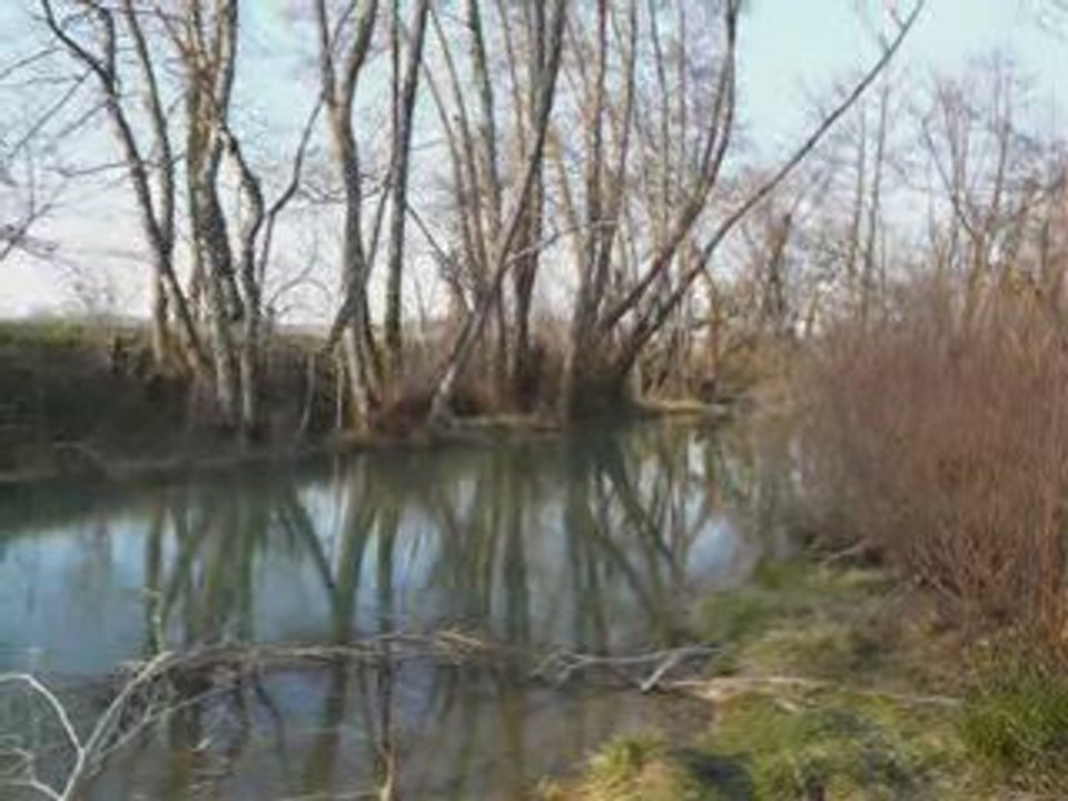 Balade Relaxante & Energisante, pas à pas en février