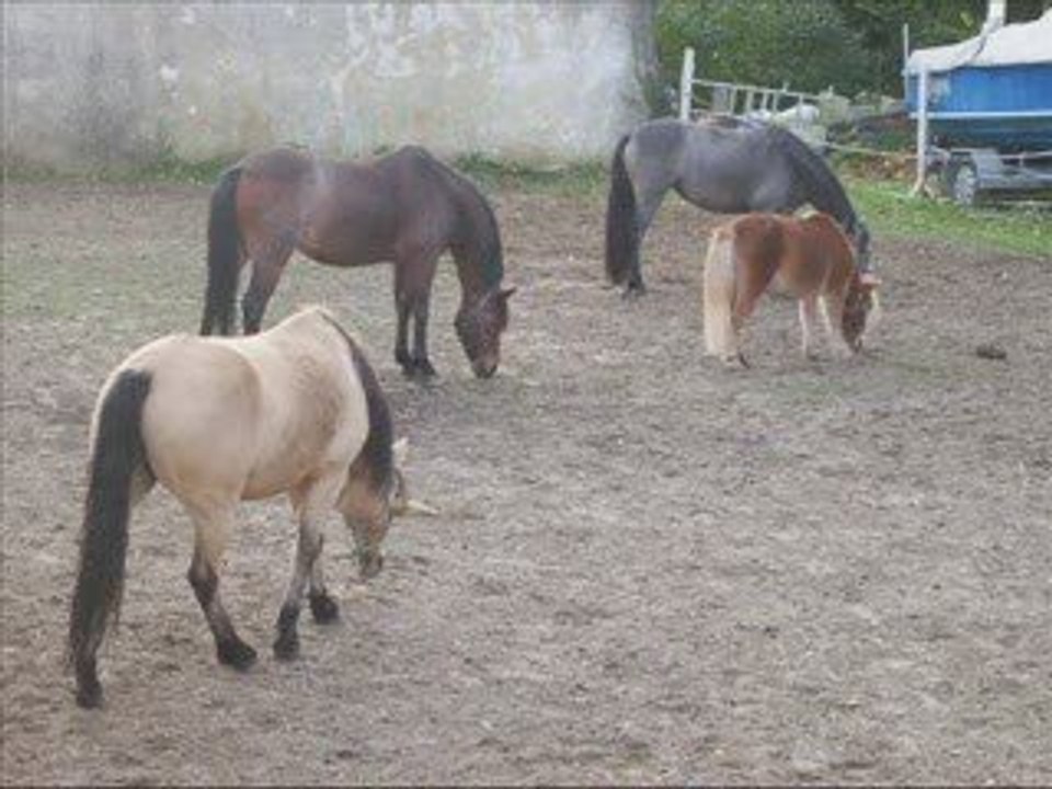 Nous 5