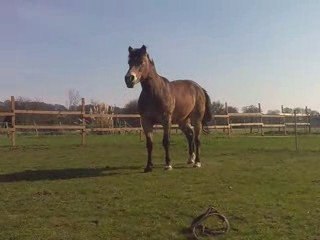 16/03/09  - Journée idéale et compagnie d'Idéale