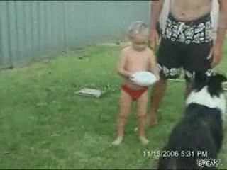 La frustration du ballon rond