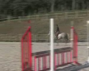 Roudoudou d'hurl'vent, entrainement à Gavray