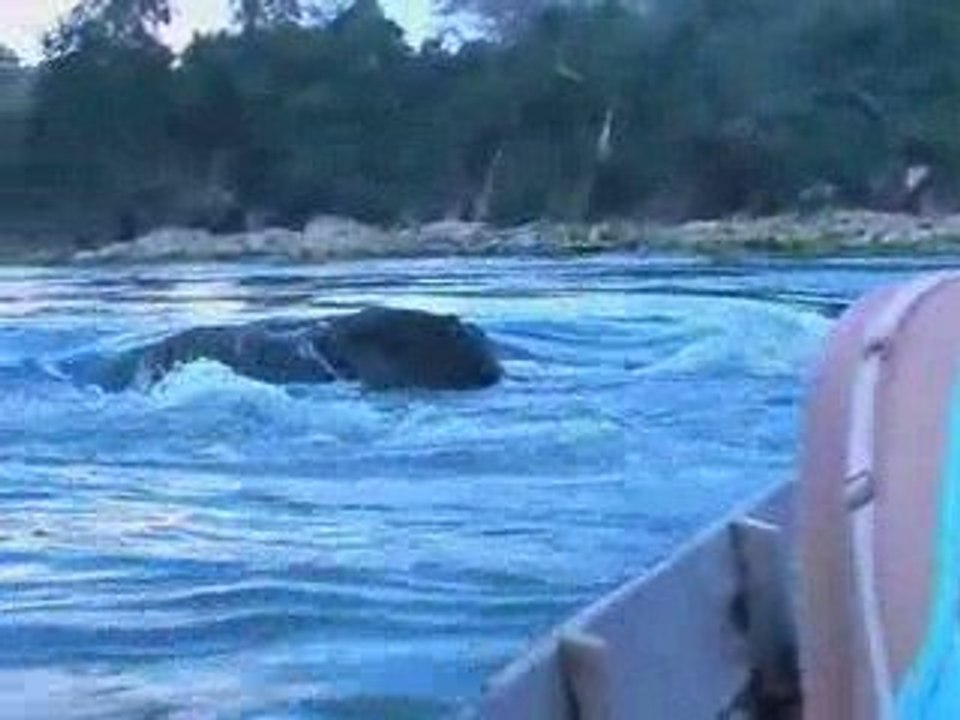 Les 4000 îles - Paillote chez "Boom Son" et dauphins