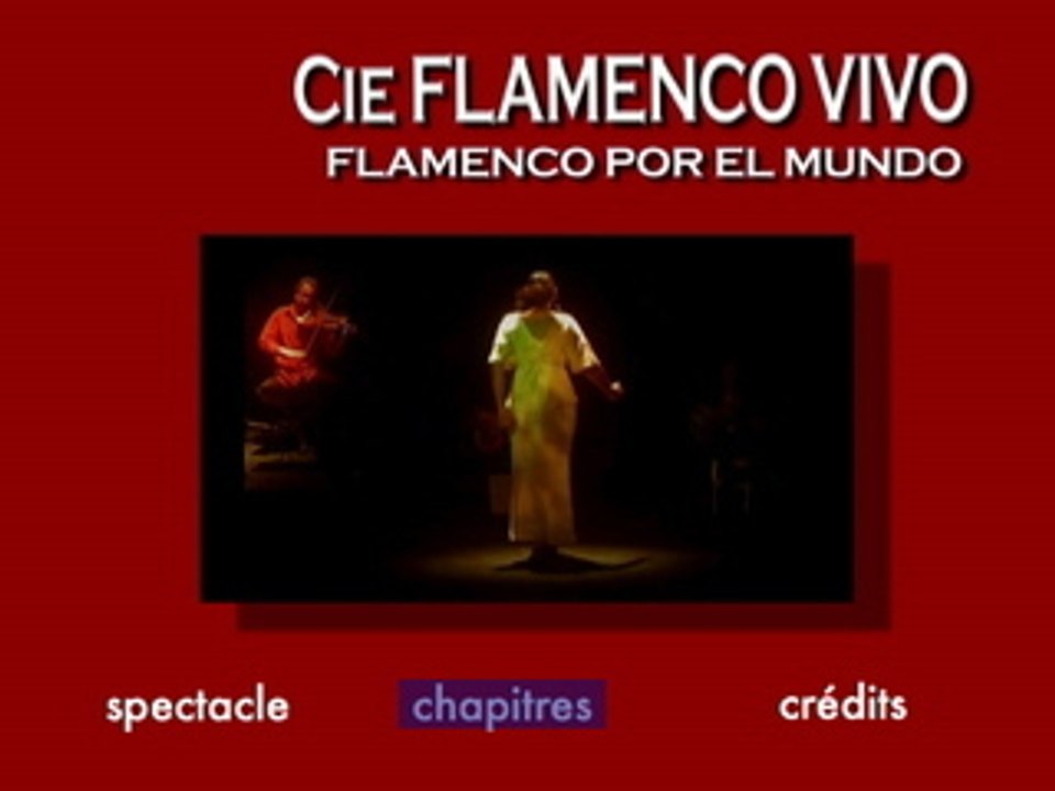 Flamenco por el mundo