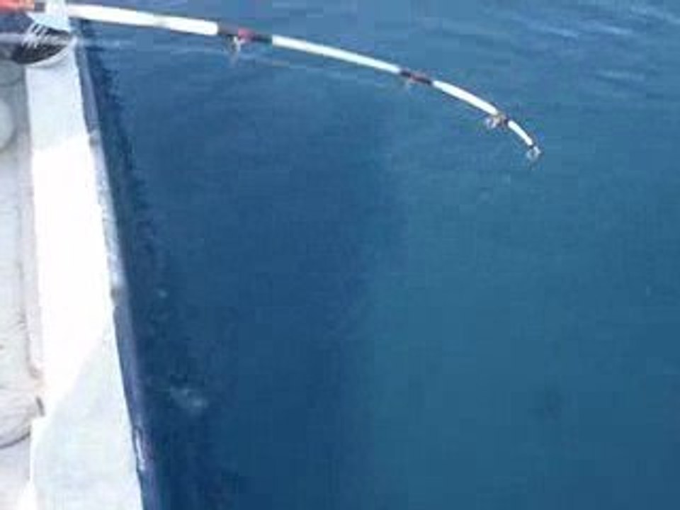 Mordoğan Kaynarpınar' da balık avı 15-03-2009