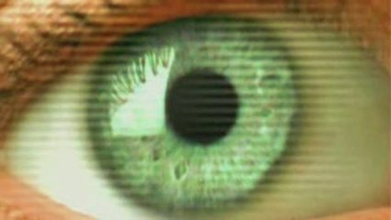 Zeitgeist II Addendum 2008 ("L'esprit du moment") 1/8