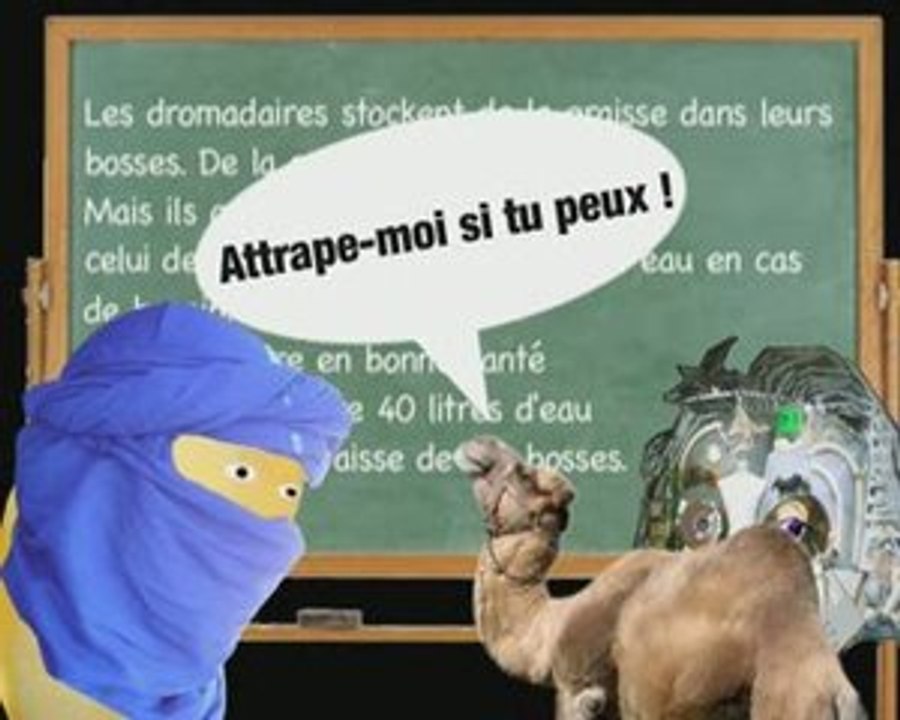 KESTENSAIS PATATE ! La bosse du dromadaire