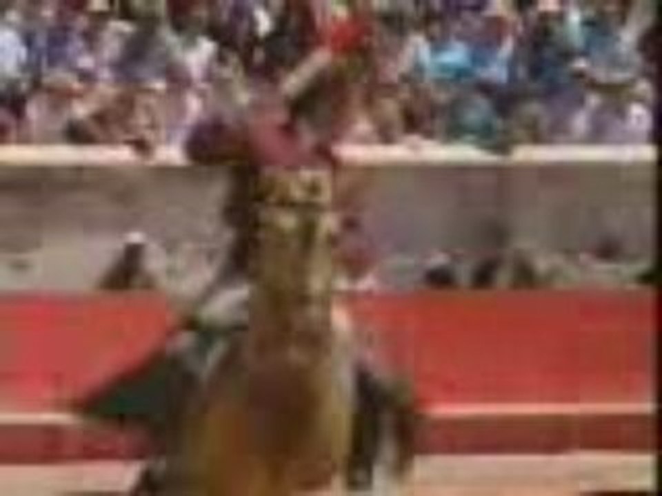 ox horse spain dance