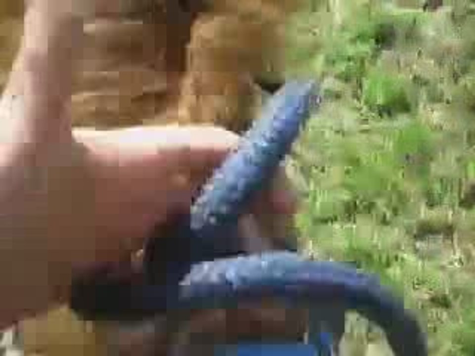 SéanceO'Maley4