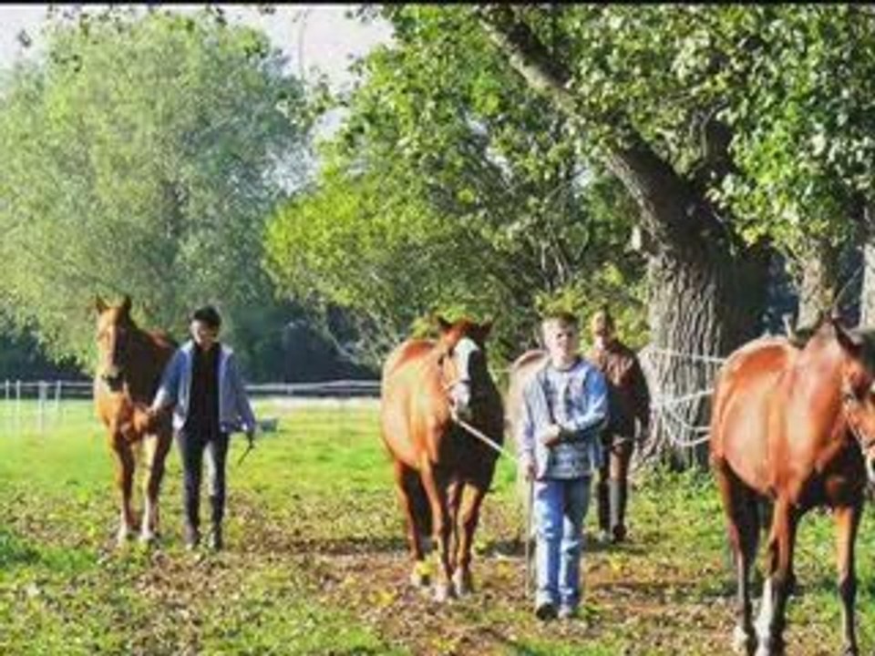 Reiterferien in Sachsen (Leipzig)
