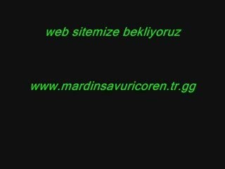 Tek türkiye müzikleri