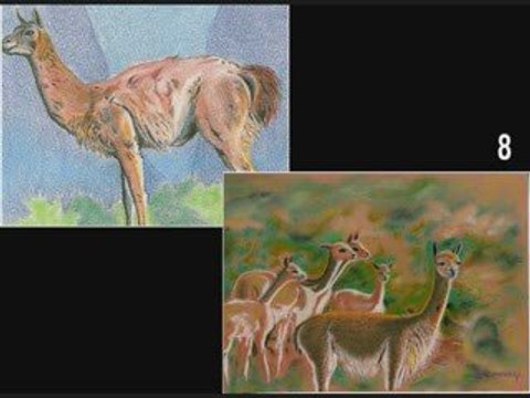 Peruvian Paintings - Peru Art Arequipa