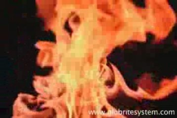 Eco Exits Signs Named 2009 Hot Product by TED Magazine