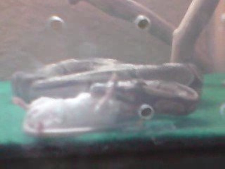 V300109_16.43