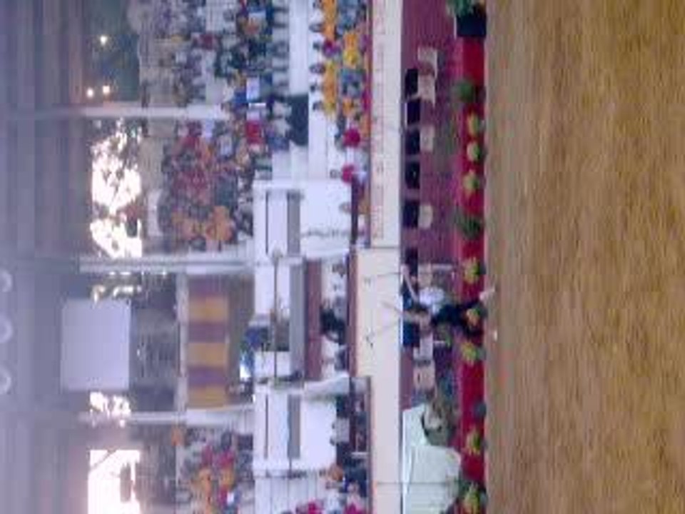 Pestacle des chevaux