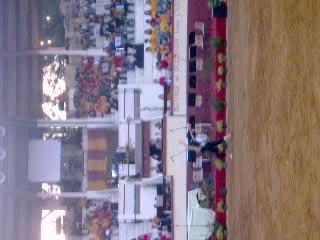 Pestacle des chevaux