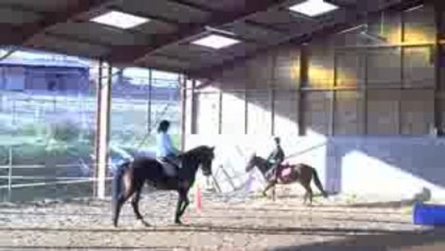 un ptit taxie a cheval (et a 1 main) petit