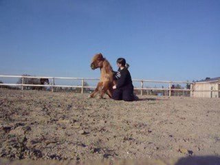 Torpi ne veut pas se coucher, il préfère s'asseoir! ^^