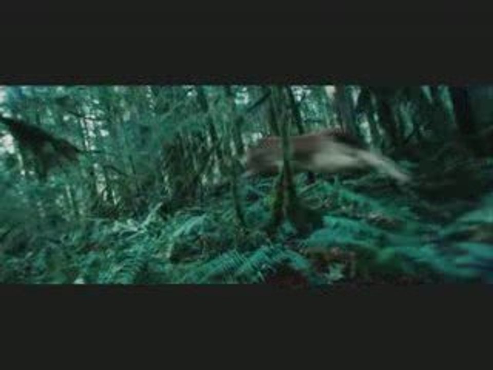 Twilight music video