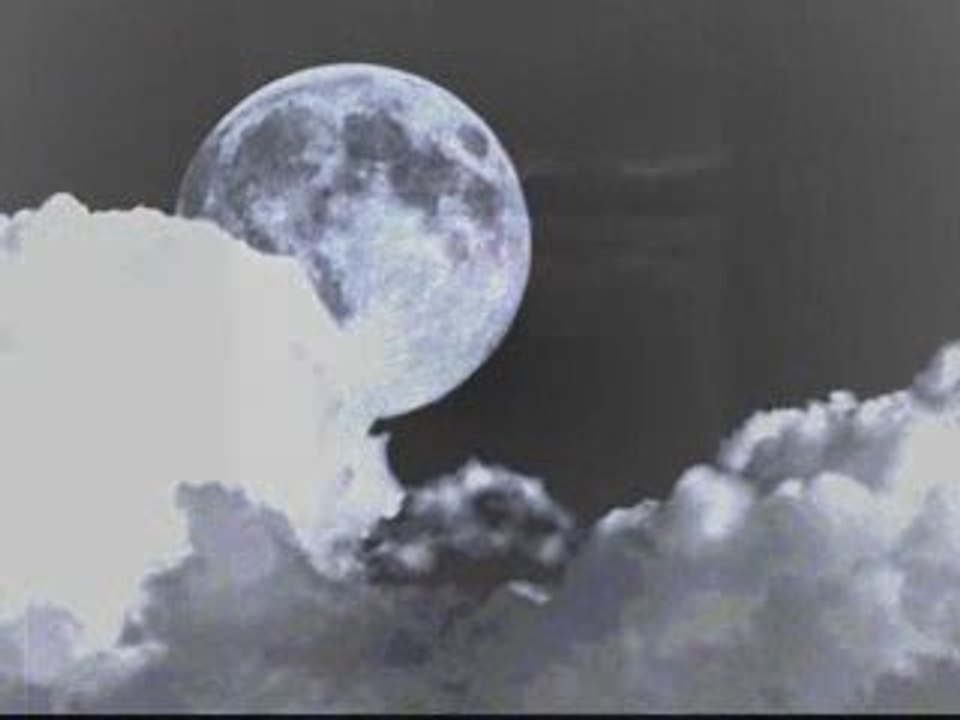 Seraphim Shock -   Shadow Realm