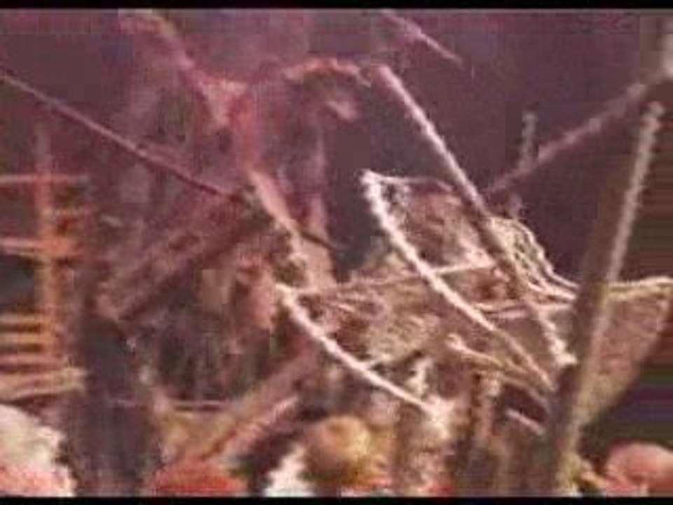 The Death of Gavroche