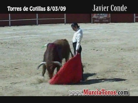 LAS TORRES DE COTILLAS - 8/03/09 - Festival con Picadores