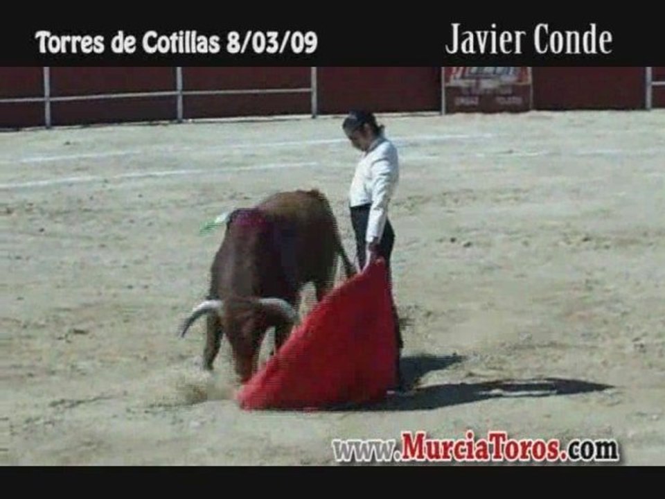 LAS TORRES DE COTILLAS - 8/03/09 - Festival con Picadores