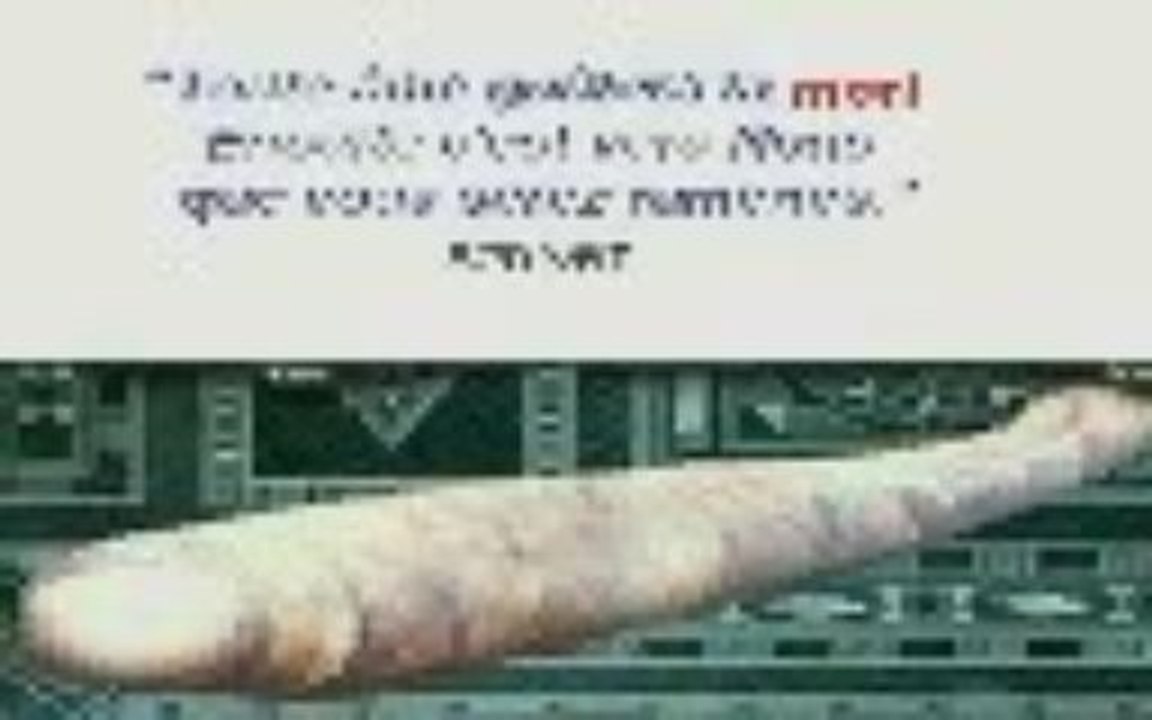 Le rappel de la mort - Daoud Van Beveren (3)