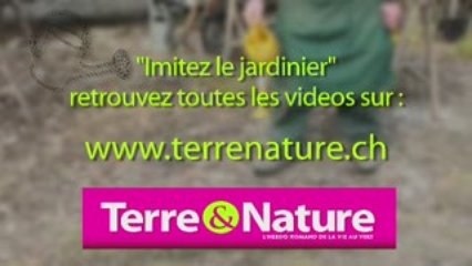 Imitez le jardinier, préparez vos semis maison