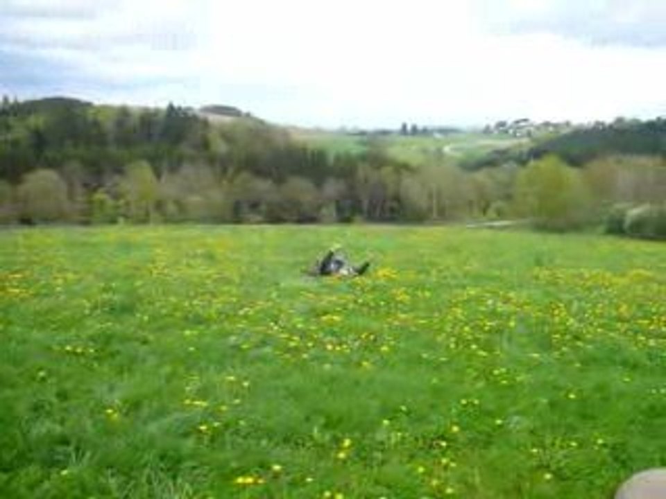 Michi im Gras