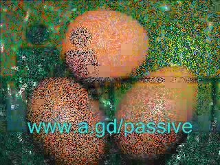 Passive Income Ideas