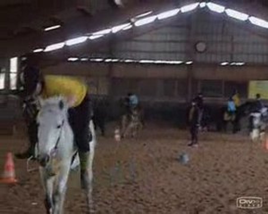 pony games alluet