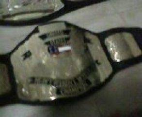 comparing jakks,adult and commemorative belts 2