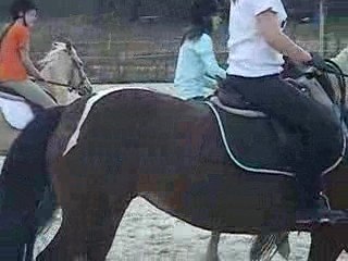 Samantha la folle du Horse Ball