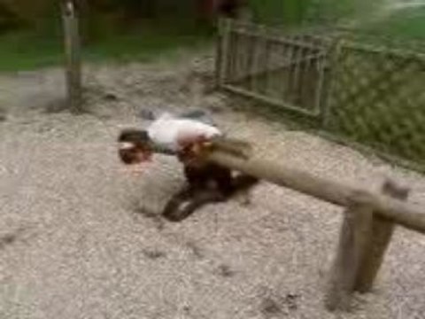 Eté 2008 Moxie Cléo et moi